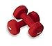 Valeo 8-Pound Neoprene Hand Weight Dumbbells for Fitness Training and Gym Workouts, Dumbbell Set Includes Exercise Wall Chart