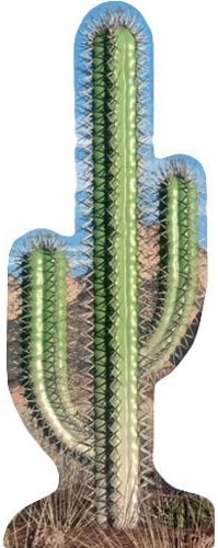 Cactus Life Size Cardboard Cutout