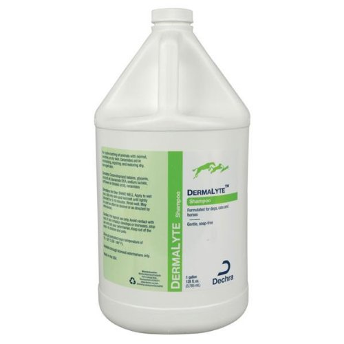 DermaLyte Shampoo - Gallon