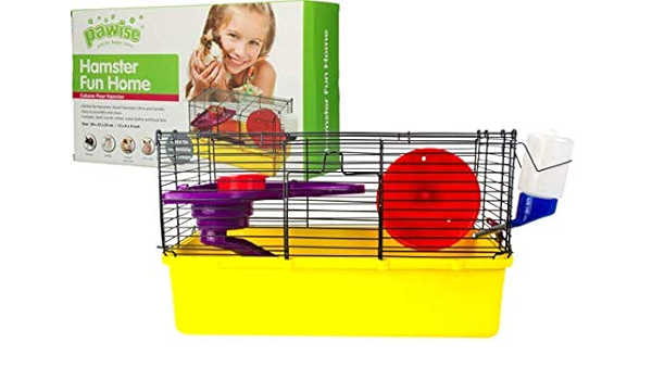hamster fun home