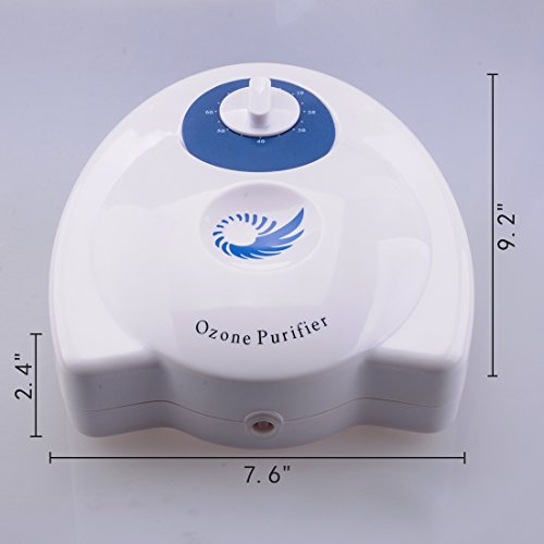 Wotefusi Ozone Generator Food Water Air Sterilizer Vegetable Fruit Fresher Ozonator Ozone machine