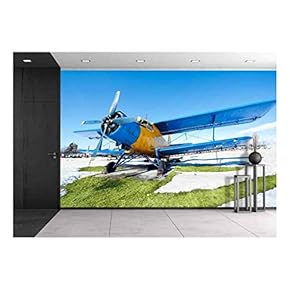 Old Airplanes Parked on a Meadow with Snow in a Sunny Day - Removable Wall Mural | Self-Adhesive Large Wallpaper - 66x96 inches