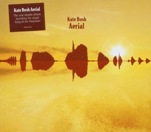 #13 — Aerial