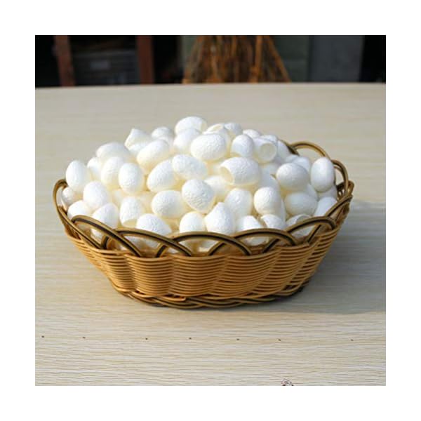 Lurrose Attrezzo 100pcs di cura di bellezza del dispositivo di rimozione dei punti neri delle punte della spazzola del… Lurrose Lurrose Attrezzo 100pcs di cura di bellezza del dispositivo di rimozione dei punti neri delle punte della spazzola del…