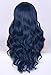 Topcosplay Women Wigs Dark Blue Wave Long with Braid Halloween Costumes Cosplay Wigs