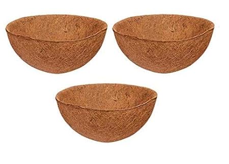 COIR GARDEN Plastic Planter Pot, 10 inch, 3 Pieces