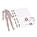 Flameer 1:6th Super-Flexible Female Stainless Steel Body with Hands Feet for Phicen Figure Doll Toy New Wheat Skin