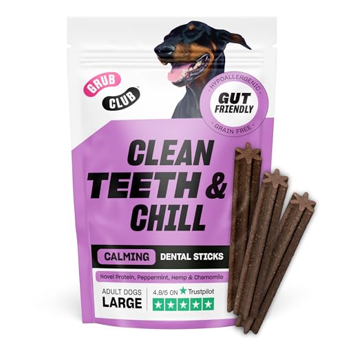 Large Insect Protein Calming Dental Stick - Grain Free, Hypoallergenic and Planet Friendly – 1 Pack of 7 Large Sticks (175 g) – GRUB CLUB — image 1