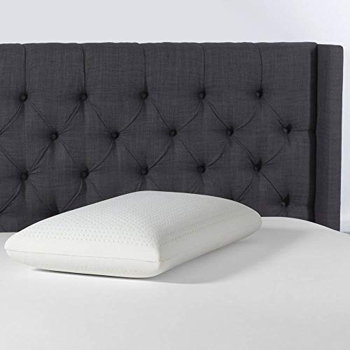 Beautyrest Latex Foam Pillow (Standard 2 Pack) Pricepulse