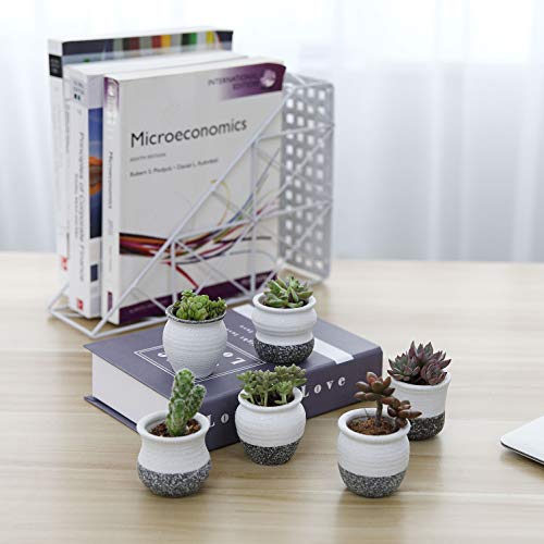 T4U 2.5 Inch Small Ceramic Succulent Planter Pots with