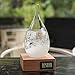 Storm Glass Weather Forecaster Weather Station Fashion Creative Office Desktop and Home Decor Water Drop Glass Bottle / Thermometer