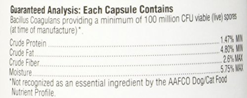 Ark Naturals Gentle Digest for Dogs & Cats, 60-Count Capsules, 5 pack