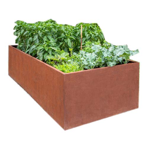 prima terra OPTIMUS - Arriate alto patinado: Amazon.es: Jardín