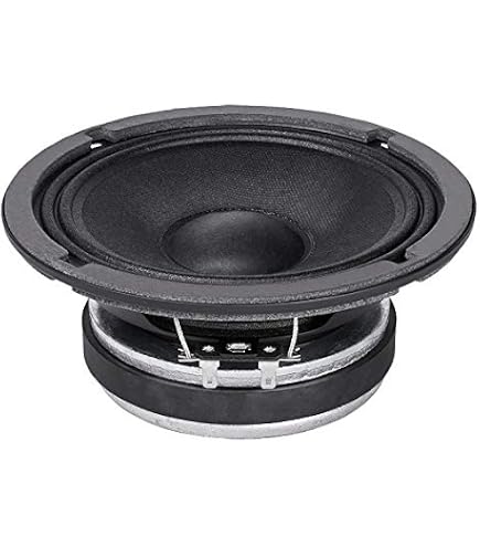 Amazon.com: Pair Faital PRO 12PR300 12
