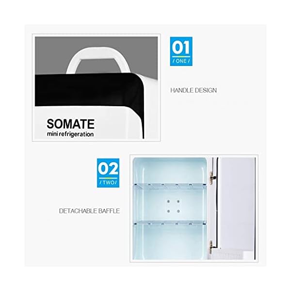 YANJ Car Refrigerator-18L Mini Fridge 12v 220v,Cooler and Warmer LOLDF1