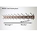 WEBI Coat Rack Wall Mount,10 Coat Hooks for Hanging Coats,30 Inch Stainless Steel Coat Hanger Wall Mounted Hook Rack Rail for Clothes,Jacket,Brushed Nickel