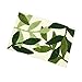 Hi Space Leaf Bath Mat Green Leaves Bathroom Rug Cute Bath Rugs Non-Slip Plush Shaggy Bathroom Mat Boho Soft Fluffy Microfiber Machine Washable Absorbent Doormat 30x20