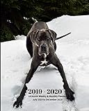 2019 - 2020 | 18 Month Weekly & Monthly Planner July 2019 to December 2020: Great Dane Dog Breed Pet by Dazzle Book Press