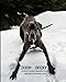 2019 - 2020 | 18 Month Weekly & Monthly Planner July 2019 to December 2020: Great Dane Dog Breed Pet by Dazzle Book Press