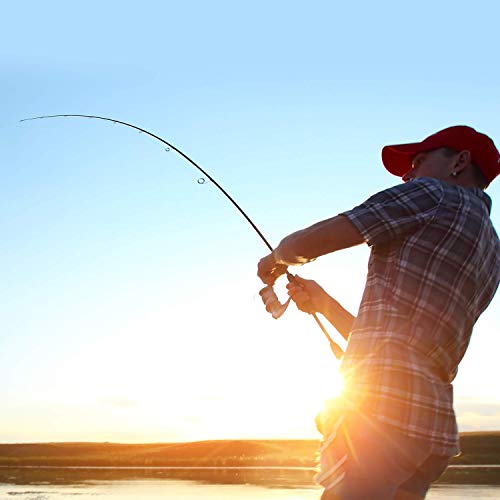 Cadence Essence Spinning Rod, Strong Lightweight 24-Ton Graphite Rod,  Stainless Steel Guides with SIC Insert