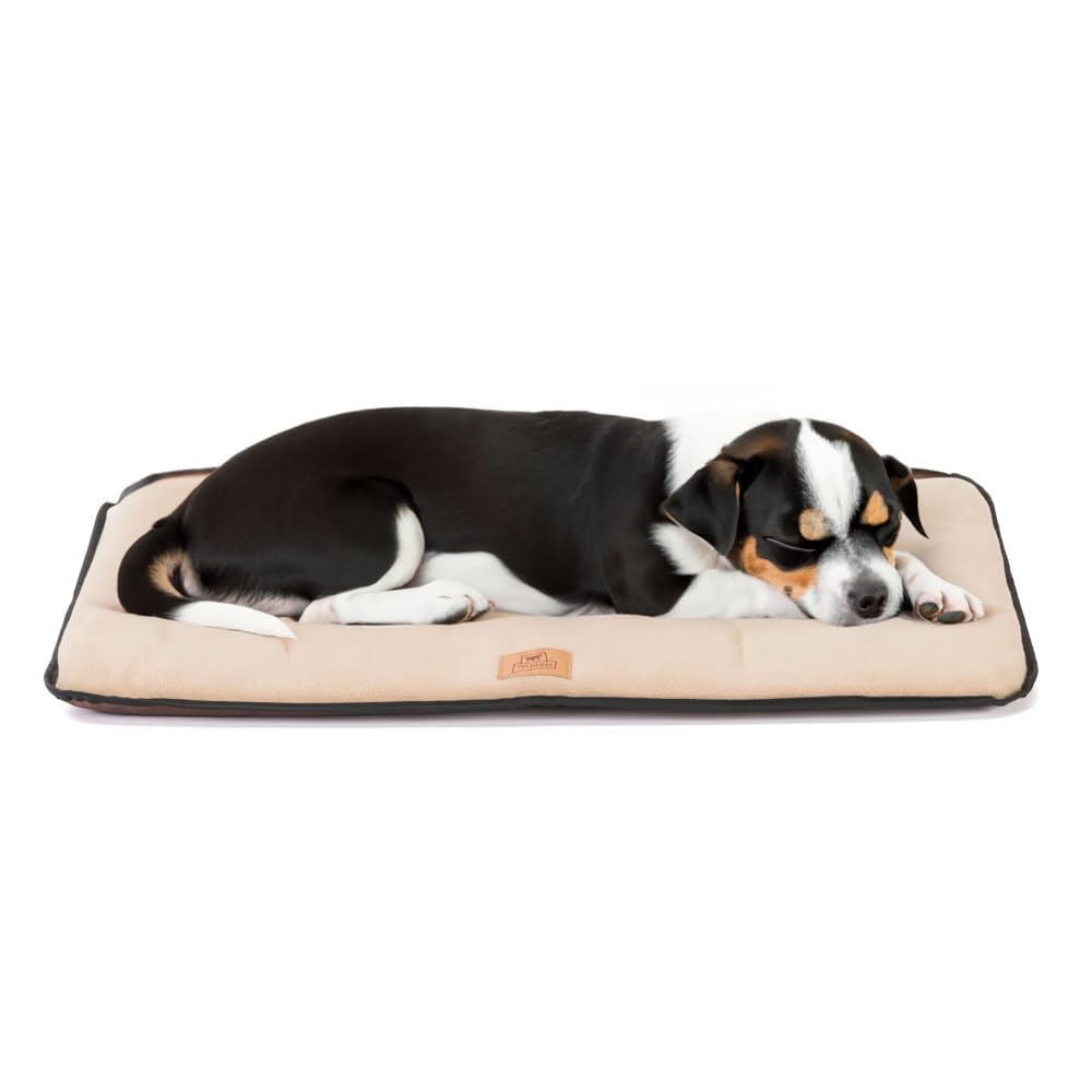 Ferplast Dog Bed Dog Cushion Dog Bed Medium Double sided Scratch-proof and waterproof fabric, Warm Microfleece 30° machine washable dog mattress 65 x 48 x 3,5 cm.Brown