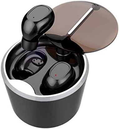 AlleGt 2 in 1 Wireless Earbuds, Dual Mini Invisible Design Twins Earphones with Mic - Touch Control & Waterproof True Wireless Stereo Sport Headphone w/Charging Case for Cell Phone PC Music