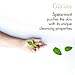 Gya Labs Spearmint Essential Oil for Diffuser & Skin - 0.34 Fl Oz - 100% Pure Natural Spearmint Oil for Facial, Hair, Massage, Aromatherapy & Candle Making Scent