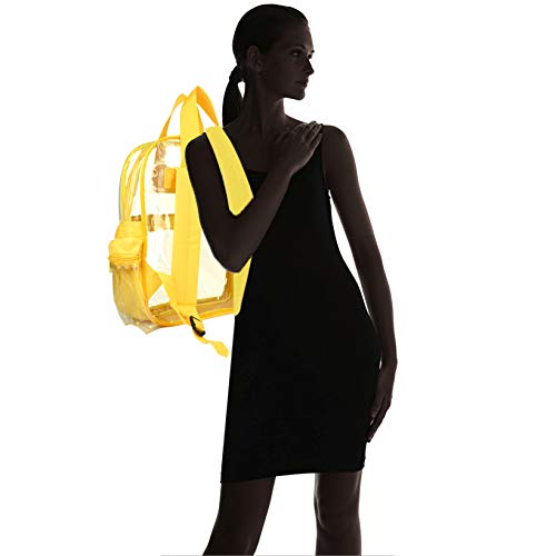 dalix clear backpack