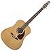 Seagull Coastline S6 Spruce Guitar
