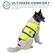 Paws Aboard Dog Life Jacket - Keep Your Canine Safe with a Neoprene Life Vest for Swimming and Boating, Color and Design to Choose - Neon Yellow, Medium