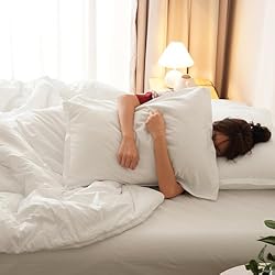 PHF Queen Comforter Set, 3 Pieces Soft Lightweight