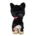 Pups! Stuffed toy Mame-Shiba Inu (japan import)