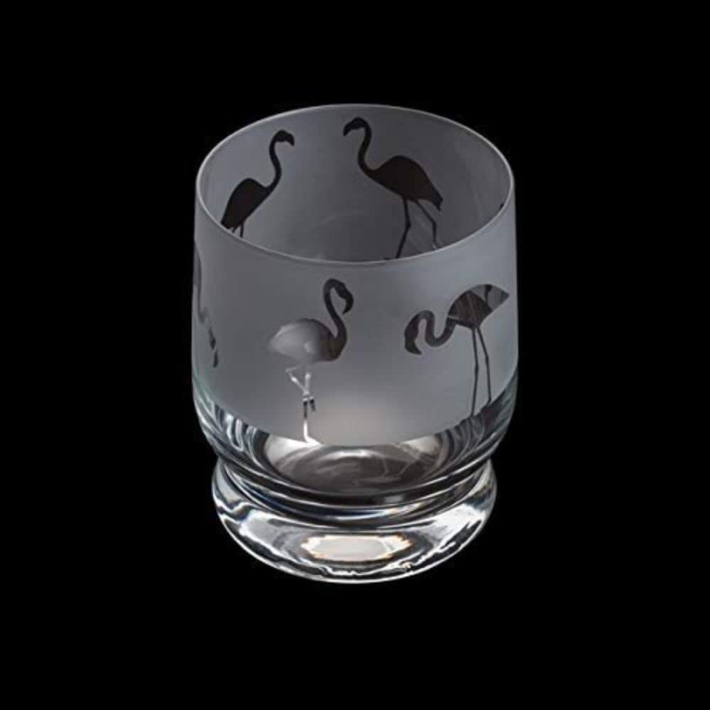 Dartington Crystal Aspect Tumbler Flamingo, 100 mm (H) 35 CL