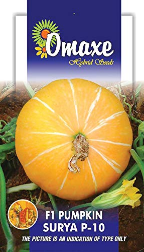 Pumpkin F1 Hybrid Surya P 10 Vegetable Seeds Kitchen Garden Packet Amazon In Garden Outdoors