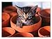 Melissa & Doug Cute Cat Pet Flowerpot Kitten Jigsaw Puzzle (60 pcs)