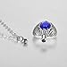 VALYRIA Angel Wing Birthstone Memorial Urn Necklace Stainless Steel Cremation Jewelry,Sapphire(September)