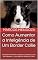 Livro Como Aumentar a Inteligência de Um Border Collie: Um Border Collie Mais Inteligente é Um Border Collie Mais Obediente - Como Adestrar Um Border Collie