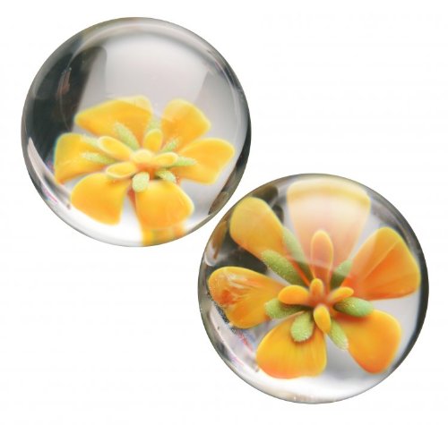 Prisms Asvani Glass Ben Wa Kegel Balls