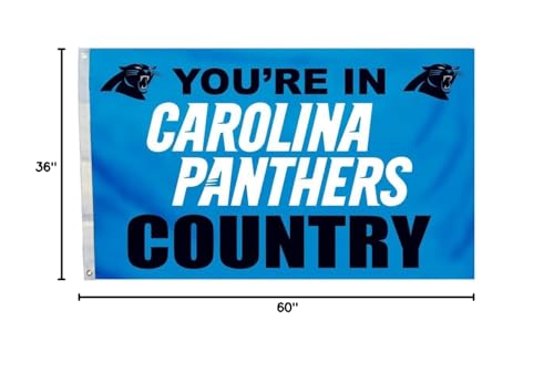 Fremont Die NFL Carolina Panthers 3\' x 5\' Flag with Grommets, 3 x 5-Foot, In Country
