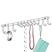 iDesign Classico Wall Mount 12-Hook Closet Organizer Rack - 10.25