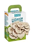 Back to the Roots Organic Mushroom Mini Farm Grow Kit, Harvest Gourmet Oyster Mushrooms in 10 Days, Top Gardening Gift, Holiday Gift, Unique Gift