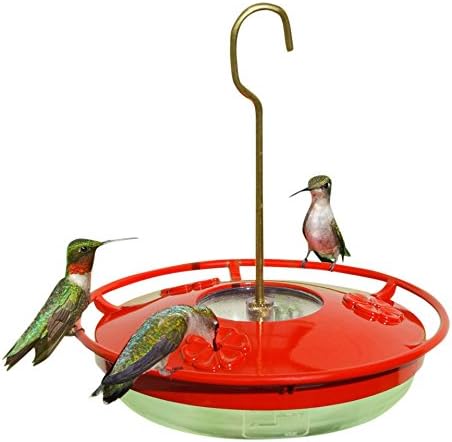 Amazon Com Habanerofire Hummingbird Wild Bird Feeder With Built