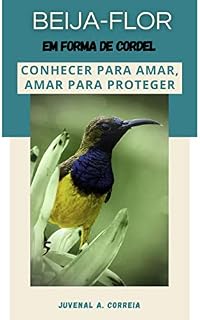 Livro Beija-flor: Em Forma de Cordel