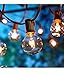 Better Homes and Gardens 20 CT String Lights Clear Glass Globe Outdoor Indoor (Brown Wire)