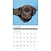 Just Chocolate Lab Puppies 2019 Wall Calendar (Dog Breed Calendar)