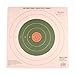 Remington Bullseye Style 100 Yard Sight-In Target (Pack of 12)