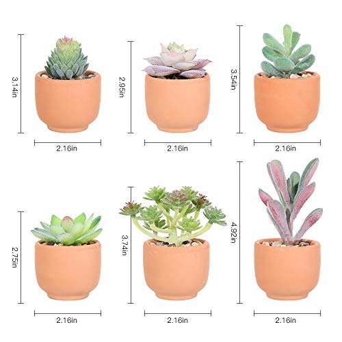 Veryhome Plantas Artificiales 3 Piezas Real Touch Suculento Interior