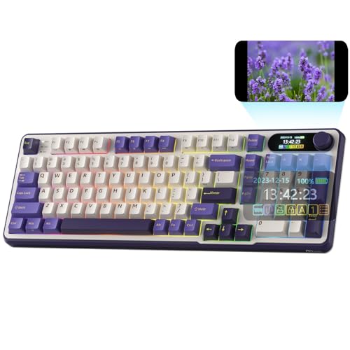 RK ROYAL KLUDGE S98 Mechanische Tastatur mit Smart Display & Knopf, Top Mount 96% Kabellose Mechanische Tastatur BT/2.4G/USB-C, Hot-Swap-fähige, Softw