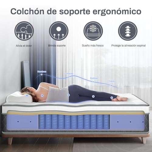 NOVANGUA Colchón de Muelles con Espuma Texturizada,Altura 35cm,Colchón Híbrido,Espumas de Alta Calidad para un Mejor Descanso,Soporte y Alivio de Presión (Gris, Queen)
