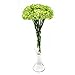 CYS EXCEL Reversible Glass Trumpet Vase, 24